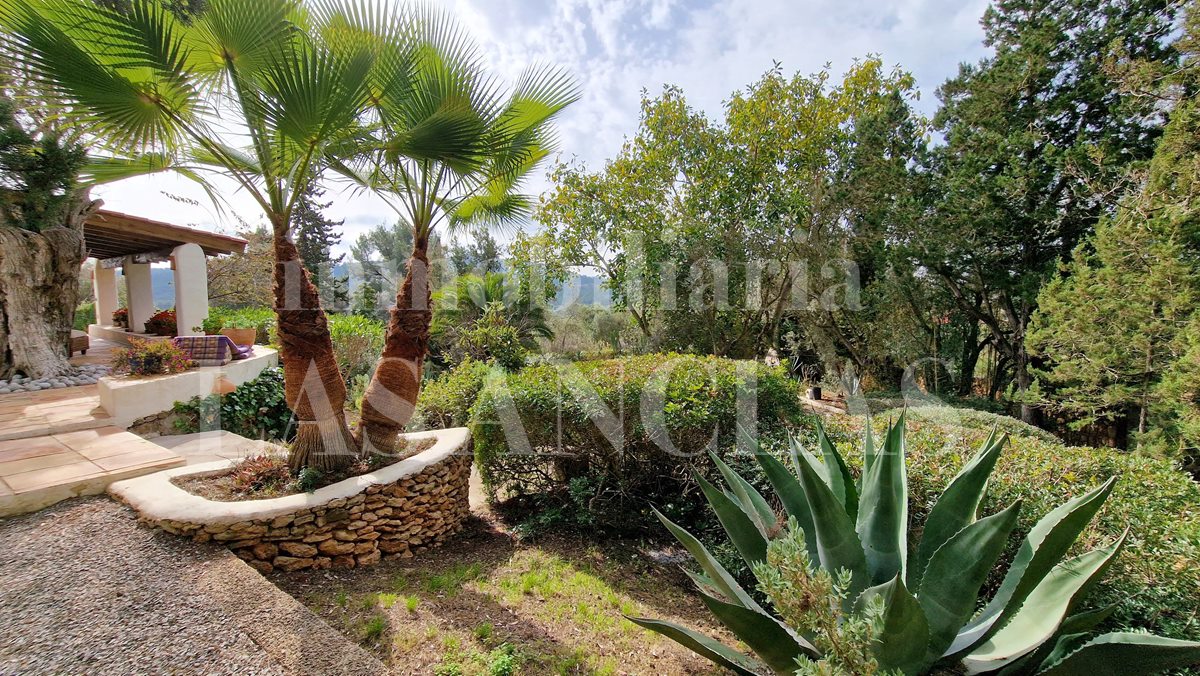 country house in Santa Gertrudis Ibiza for sale