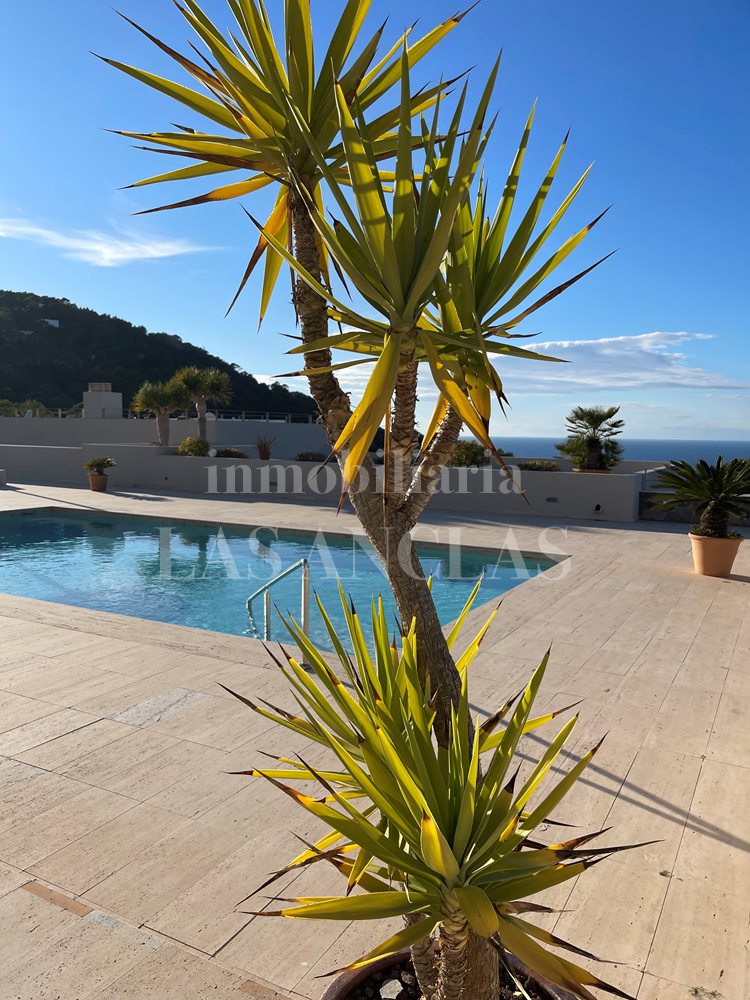 Duplex-Wohnung Westküste Ibiza im Verkauf