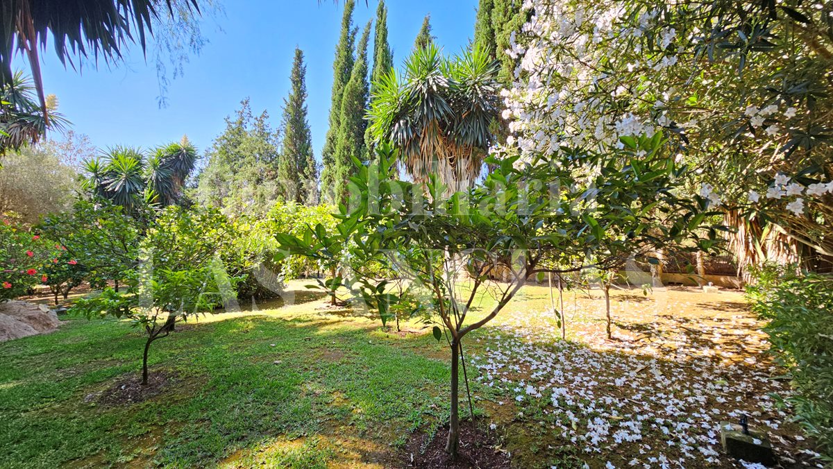 countryside villa / finca in San Lorenzo Ibiza in vendita