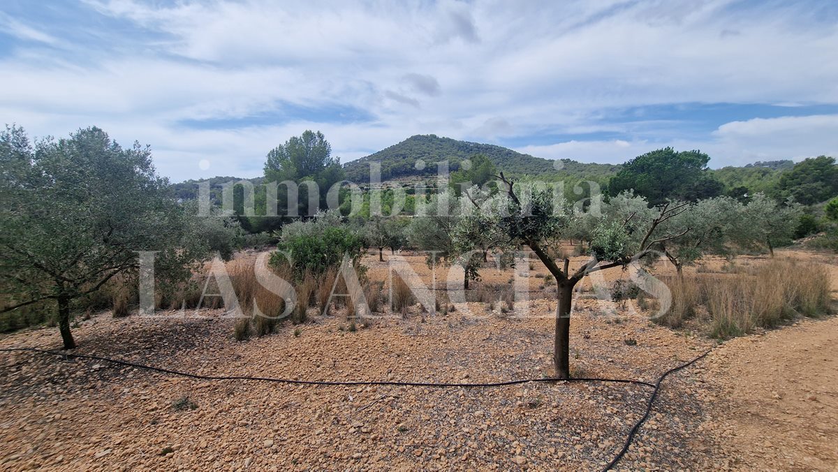 Ibiza Jesús - Land with licence for villa with annexe and swimming pool in a very quiet area for sale