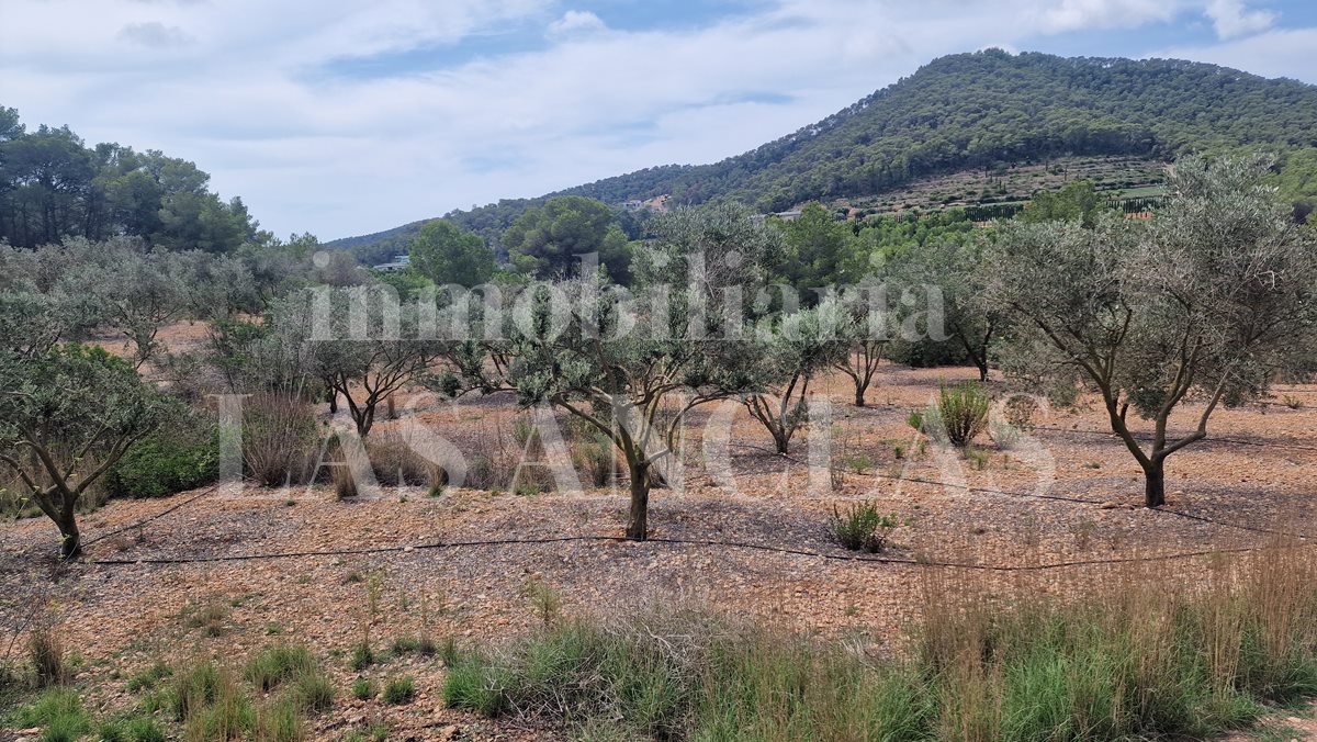 plot of land in Jesús Ibiza for sale