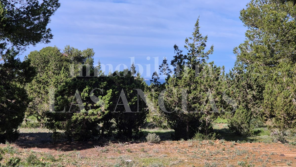 Ibiza Cala Conta - Walking distance to the beach! Exceptional plot with sea views and licence for a villa with pool for sale