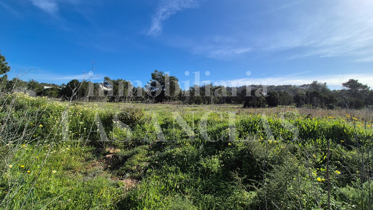 plot of land in Cala Conta Ibiza for sale