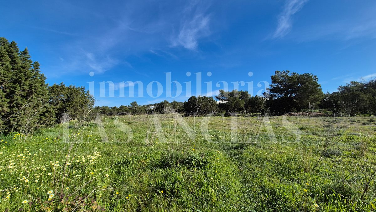 Ibiza Cala Conta - Walking distance to the beach! Exceptional plot with sea views and licence for a villa with pool for sale