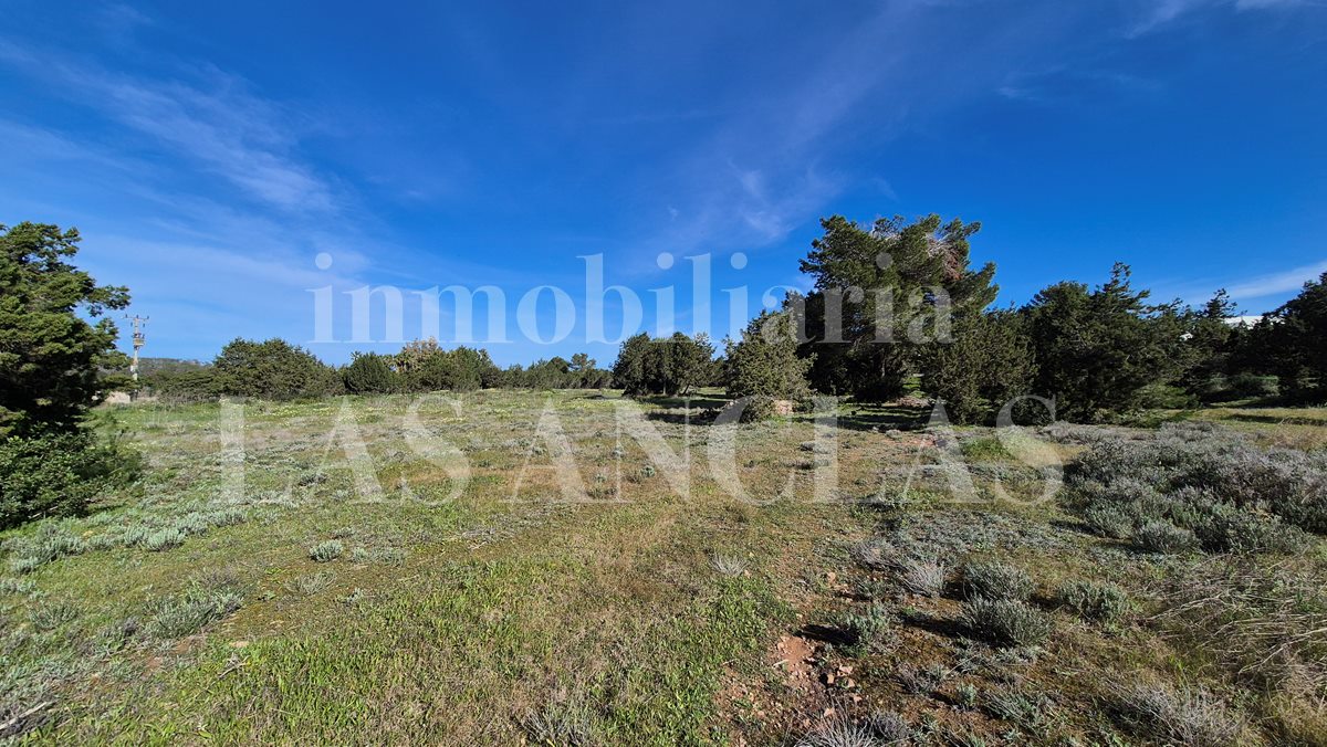 plot of land in Cala Conta Ibiza for sale