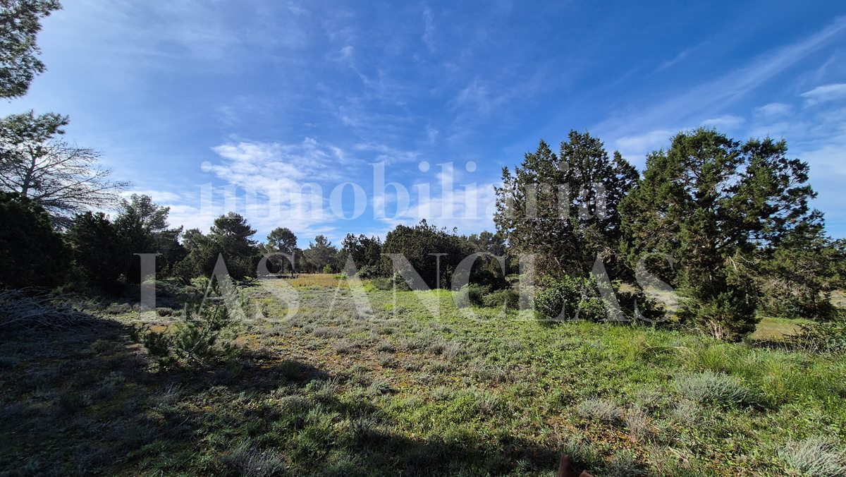 Ibiza Cala Conta - Walking distance to the beach! Exceptional plot with sea views and licence for a villa with pool for sale