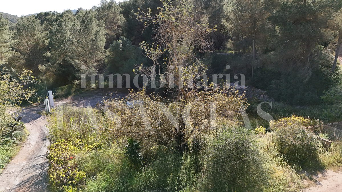 Ibiza San José - Rustic plot of land with licence applied for renovation of a traditional farmhouse à vendre