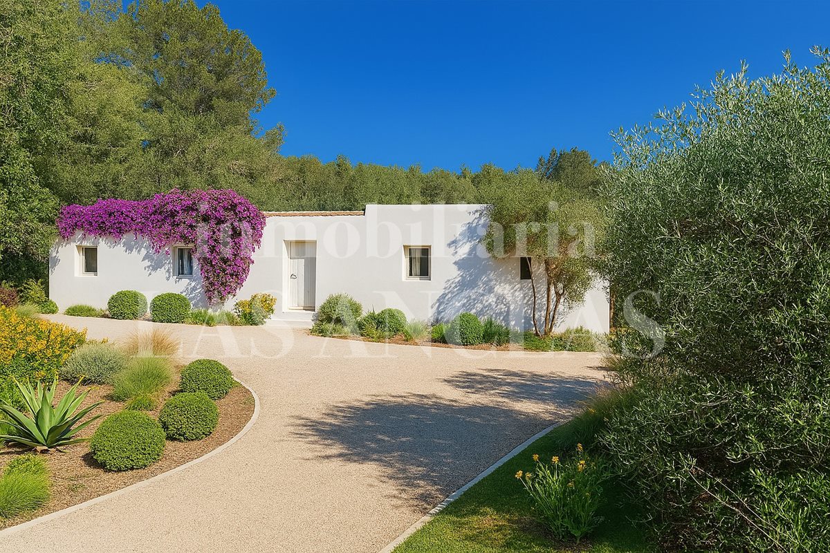 Ibiza San José - Plot of 150,000 m² with a renovation project for a traditional Ibizan farmhouse for sale