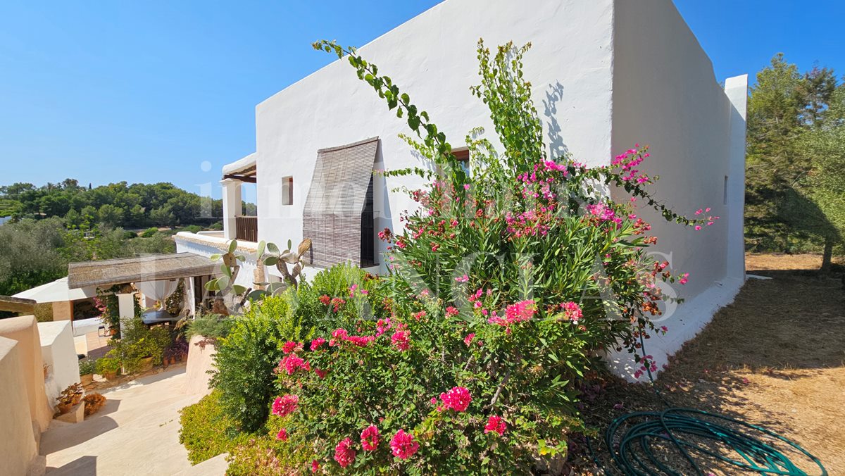 Finca / Bauernhaus in Jesús Ibiza im Verkauf