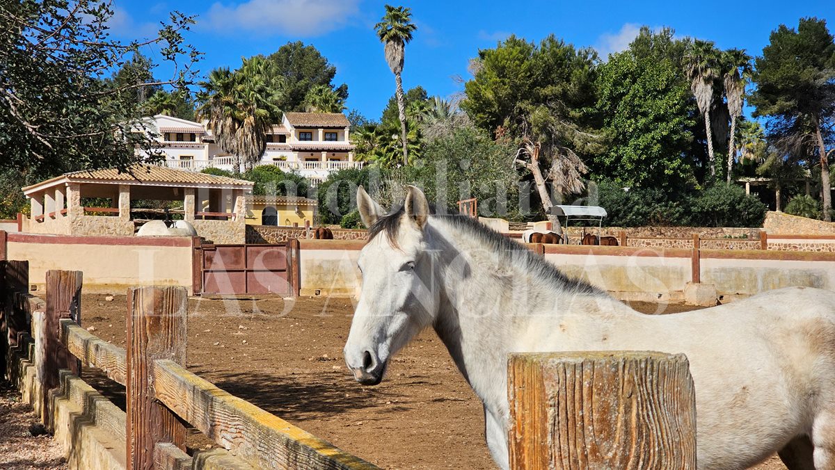 Ibiza San Rafael - Spectacular Andalusian-style hacienda with breeding of purebred spanish horses PRE for sale