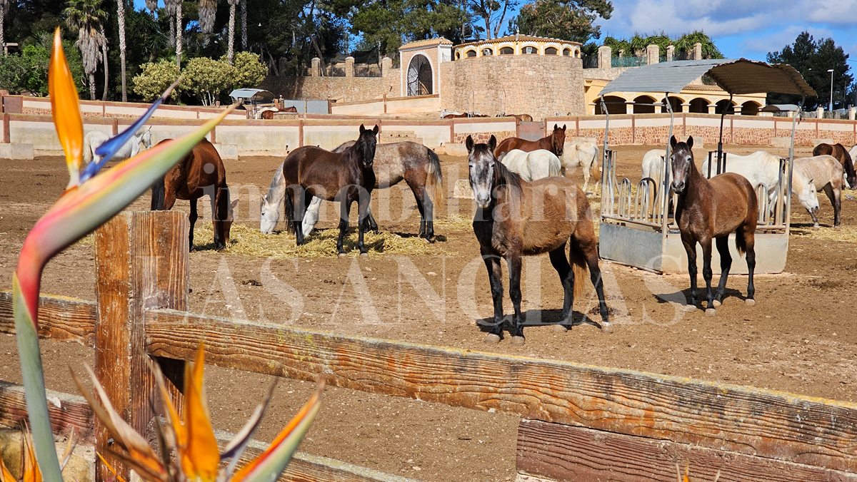 mansión en San Rafael Ibiza en venta
