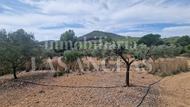 Ibiza Jesús - Grundstück mit Lizenz für Villa mit Nebengebäude und Pool in einer ruhigen Gegend im Verkauf