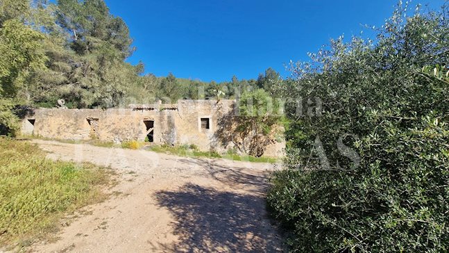 Ibiza San José - Rustiek perceel met aangevraagde vergunning om een traditionele boerderij te renoveren kopen