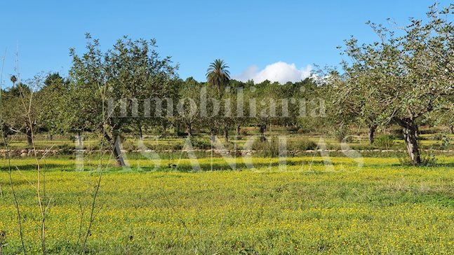 Ibiza Santa Gertrudis - Magnifica tenuta Blakstad nel cuore dell'isola per acquistare