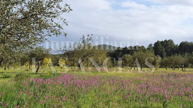 Ibiza San José - Maravillosa y única finca de lujo con licencia turística y vistas al mar en venta