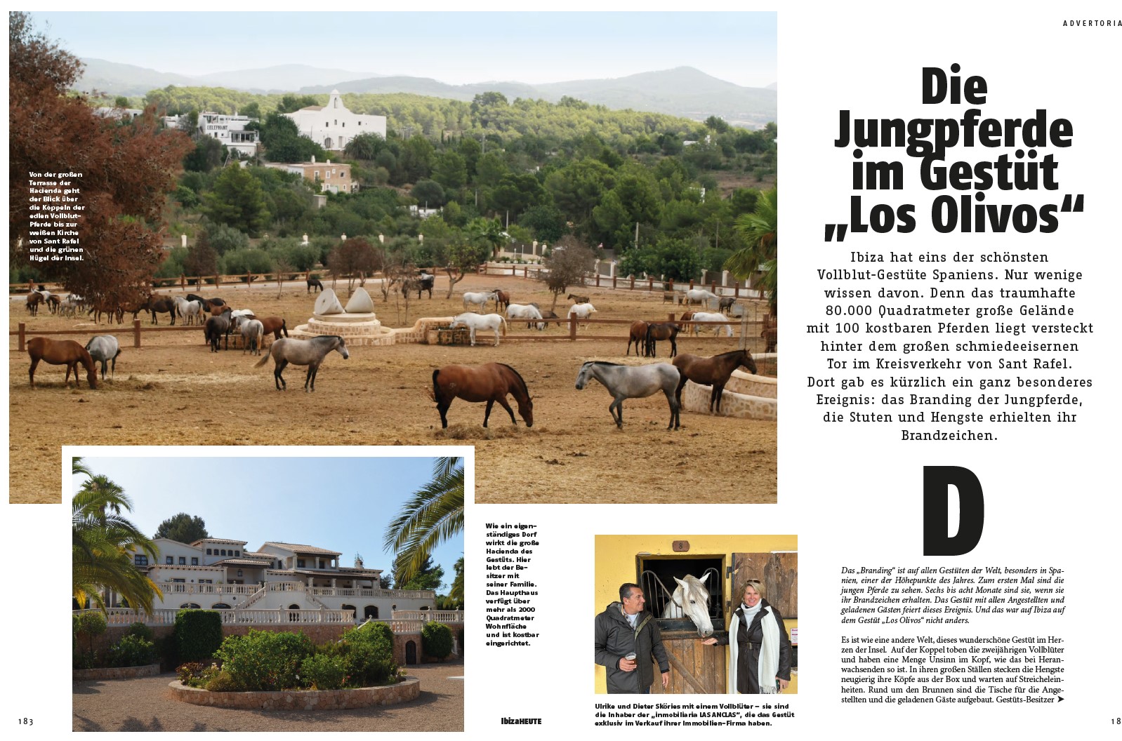 Gestuet Los Olivos